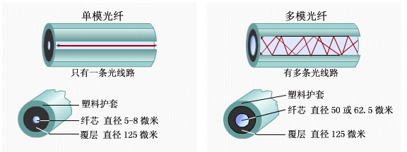 新的图片